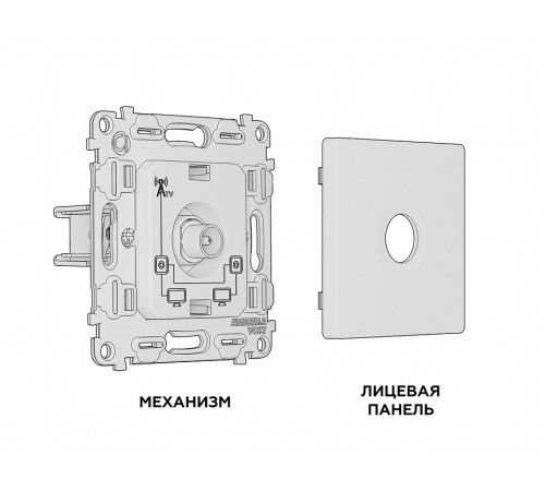 ТВ-розетка проходная без рамки Ambrella Volt Quant MA373030