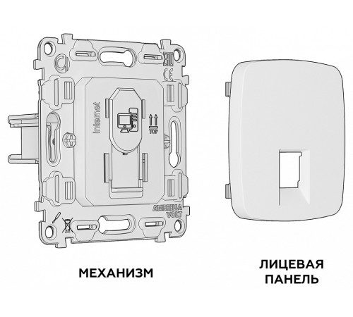 Розетка двойная Ethernet RJ-45 без рамки Ambrella Volt MO MO112010