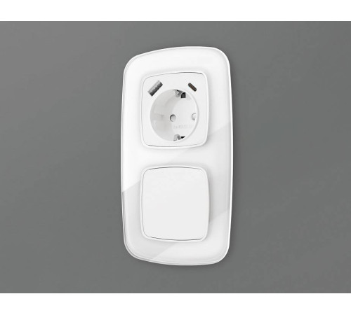 Накладка для розетки с заземлением и со шторками и 2хUSB type A и C Ambrella Volt Quant OP1100