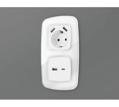 Накладка для розетки type A и C Ambrella Volt Quant OP1110