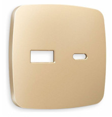 Накладка для розетки type A и C Ambrella Volt Quant OP6110