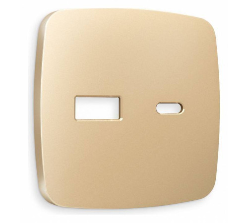 Накладка для розетки type A и C Ambrella Volt Quant OP6110