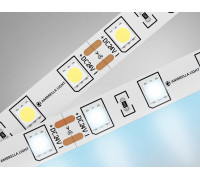 Лента светодиодная Ambrella Light GS GS4003