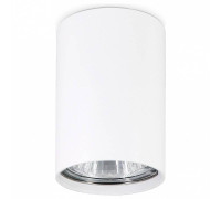 Накладной светильник Ambrella Light TN TN213101
