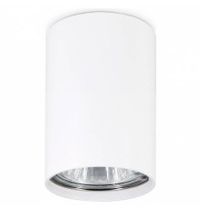 Накладной светильник Ambrella Light TN TN213101