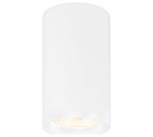 Накладной светильник Ambrella Light TN TN213133