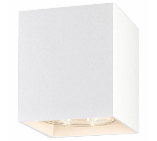 Накладной светильник Ambrella Light TN TN213139