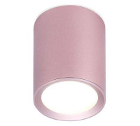 Накладной светильник Ambrella light TN TN217
