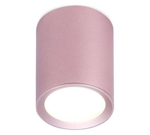 Накладной светильник Ambrella light TN TN217
