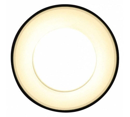 Накладной светильник Ambrella Light TN TN3412