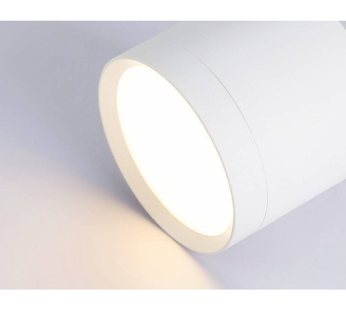 Накладной светильник Ambrella Light TN TN5350