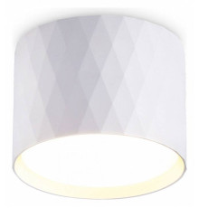 Накладной светильник Ambrella Light TN TN5358