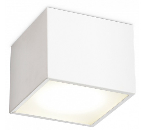 Накладной светильник Ambrella Light TN TN6530