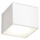 Накладной светильник Ambrella Light TN TN6530