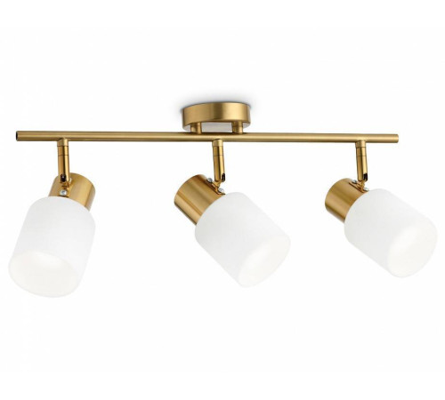 Спот Ambrella Light TR TR3972