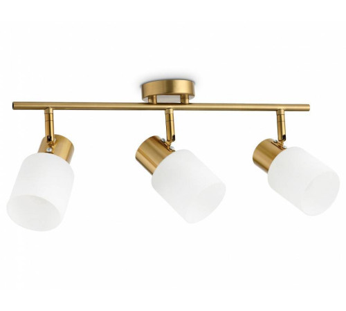 Спот Ambrella Light TR TR3972