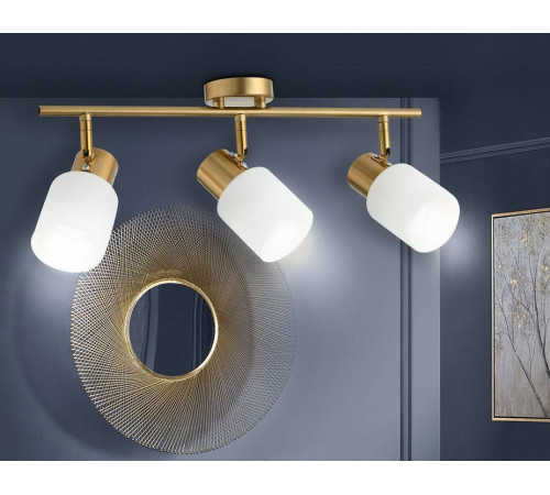 Спот Ambrella Light TR TR3972