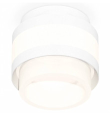 Накладной светильник Ambrella Light XS XS8418001