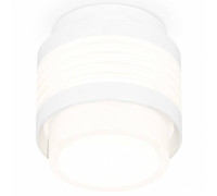 Накладной светильник Ambrella Light XS XS8431001