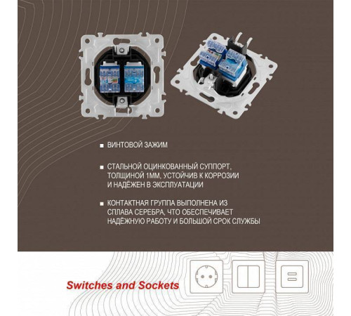 Розетка двойная RJ-11 и Ethernet RJ-45, без рамки Arte Milano am-202 202.44-1.shampan