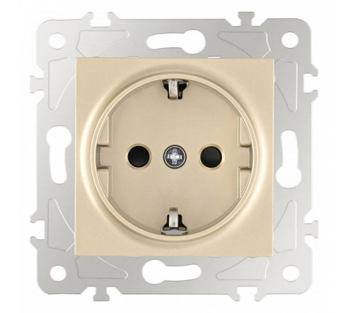 Розетка с заземлением и со шторкой, без рамки Arte Milano am-203 203.40-1.shampan
