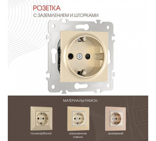 Розетка с заземлением и со шторкой, без рамки Arte Milano am-203 203.40-1.shampan