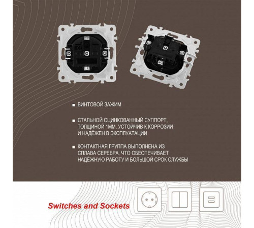 Розетка с заземлением и со шторкой, без рамки Arte Milano am-203 203.40-1.shampan