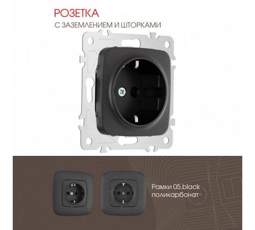 Розетка с заземлением и со шторкой, без рамки Arte Milano am-205 205.40-1.black