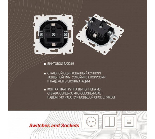 Розетка с заземлением и со шторкой, без рамки Arte Milano am-205 205.40-1.black