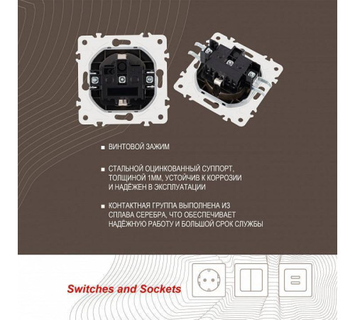 Розетка с заземлением и со шторкой, без рамки Arte Milano am-205 205.40-1.shampan