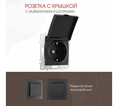 Розетка влагозащищенная с заземлением и со шторкой с крышкой Arte Milano am-206 206.41-1.black