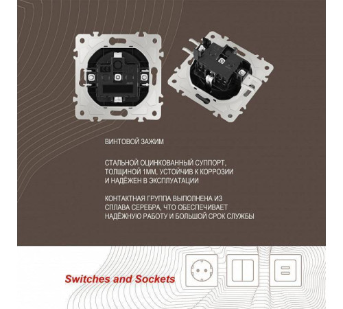 Розетка влагозащищенная с заземлением и со шторкой с крышкой Arte Milano am-206 206.41-1.black