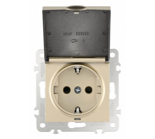 Розетка влагозащищенная с заземлением и со шторкой с крышкой Arte Milano am-206 206.41-1.shampan