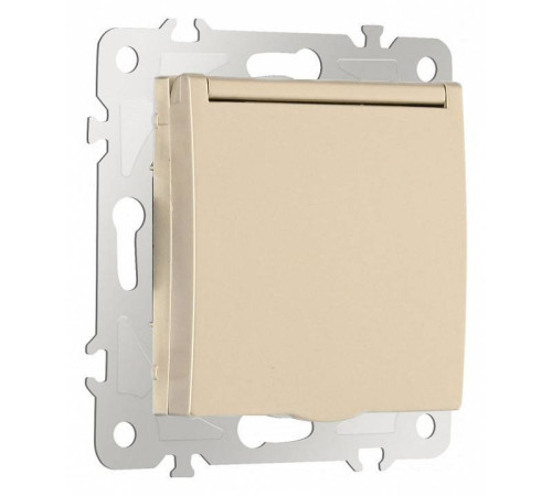 Розетка влагозащищенная с заземлением и со шторкой с крышкой Arte Milano am-206 206.41-1.shampan