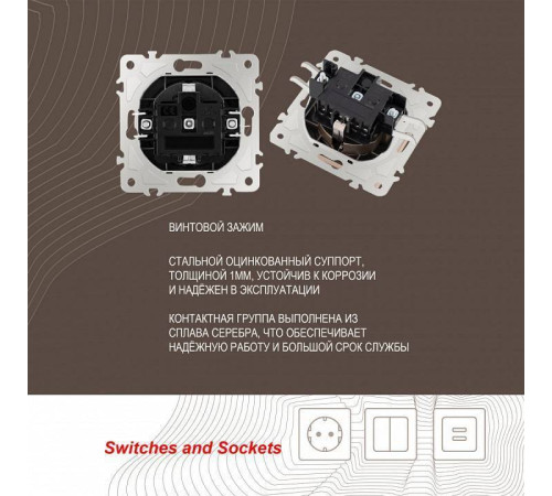 Розетка влагозащищенная с заземлением и со шторкой с крышкой Arte Milano am-206 206.41-1.shampan