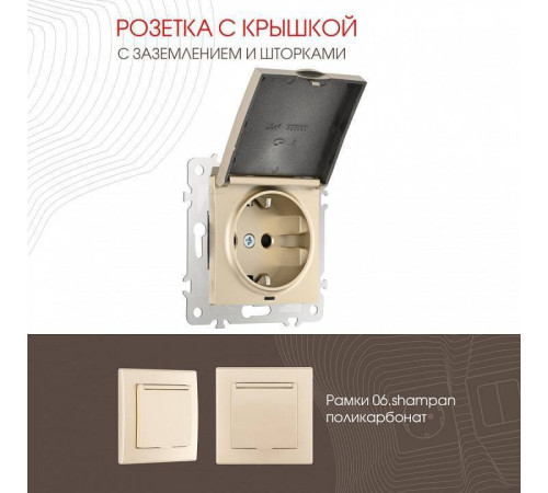 Розетка влагозащищенная с заземлением и со шторкой с крышкой Arte Milano am-206 206.41-1.shampan