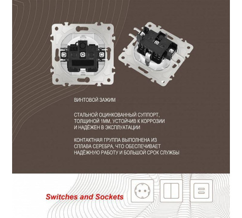 Розетка влагозащищенная с заземлением и со шторкой с крышкой Arte Milano am-206 206.41-1.white