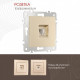 Розетка телефонная RJ-11 без рамки Arte Milano am-206 206.51-1.shampan