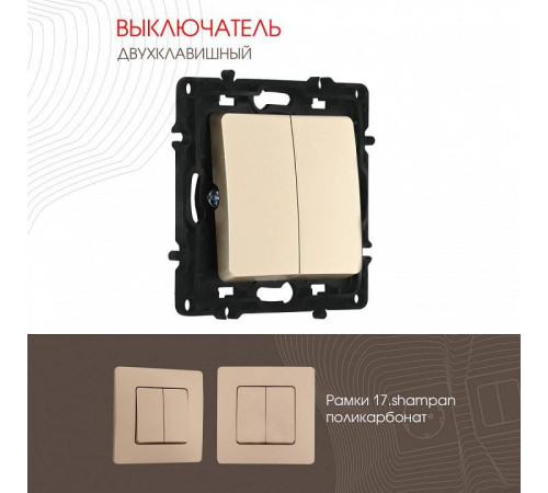 Выключатель двухклавишный без рамки Arte Milano 217 217.30-2.shampan