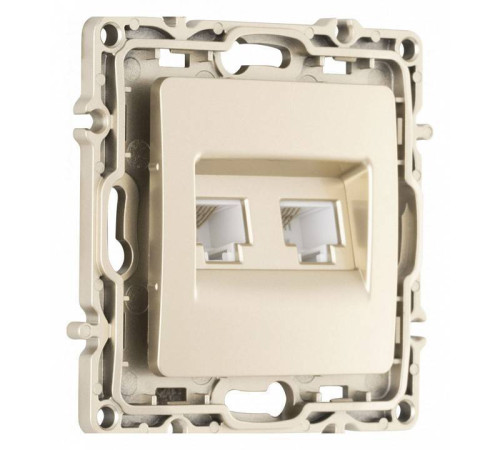 Розетка двойная RJ-11 и Ethernet RJ-45, без рамки Arte Milano am-217 217.44-1.shampan