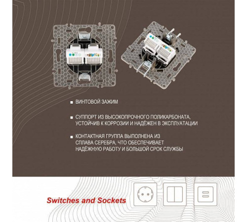 Розетка двойная RJ-11 и Ethernet RJ-45, без рамки Arte Milano am-217 217.44-1.shampan