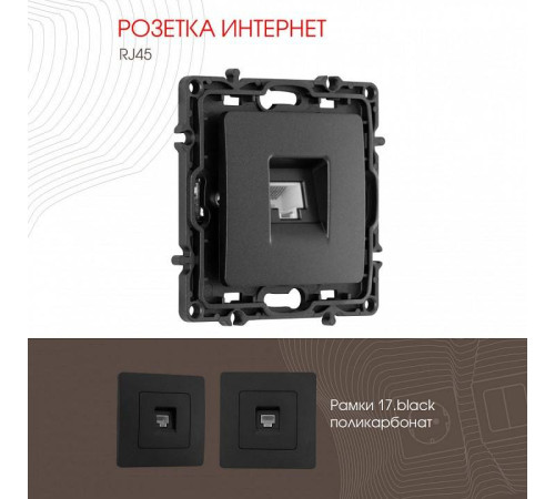 Розетка Ethernet RJ-45 без рамки Arte Milano am-217 217.45-1.black