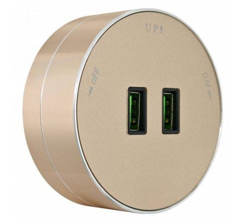 Розетка 2xUSB на треке Arte Milano Am-track-sockets 380011TS/USBx2 Gold