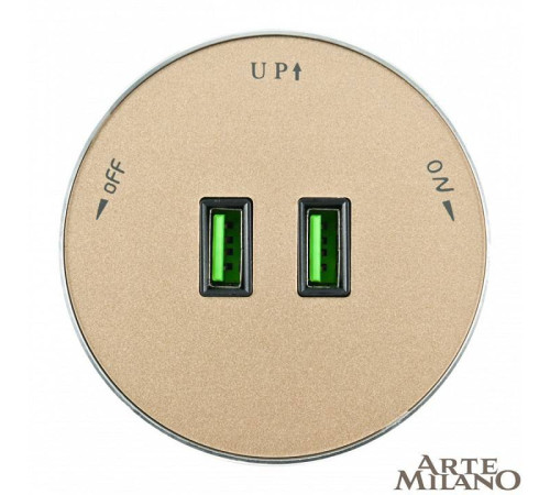 Розетка 2xUSB на треке Arte Milano Am-track-sockets 380011TS/USBx2 Gold