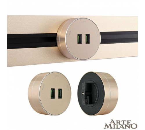 Розетка 2xUSB на треке Arte Milano Am-track-sockets 380011TS/USBx2 Gold