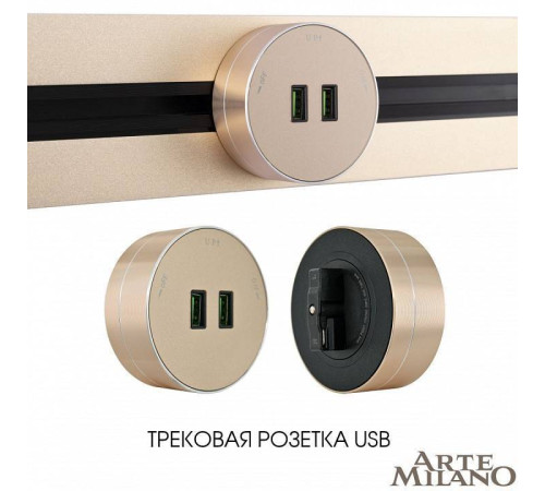 Розетка 2xUSB на треке Arte Milano Am-track-sockets 380011TS/USBx2 Gold