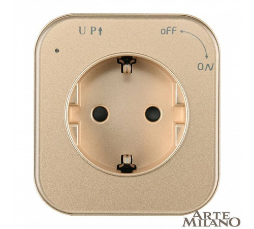 Розетка с заземлением для трека Arte Milano Am-track-sockets золото 380022TS/ES Gold