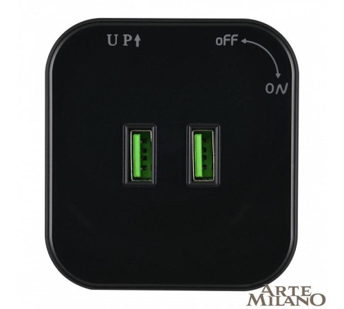 Розетка 2xUSB на треке Arte Milano Am-track-sockets 380022TS/USBx2 Black