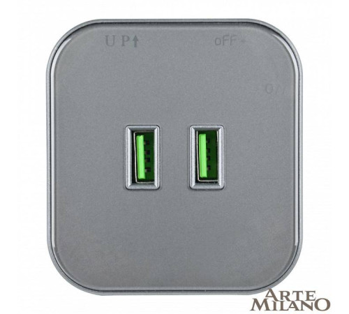 Розетка 2xUSB на треке Arte Milano Am-track-sockets 380022TS/USBx2 Grey