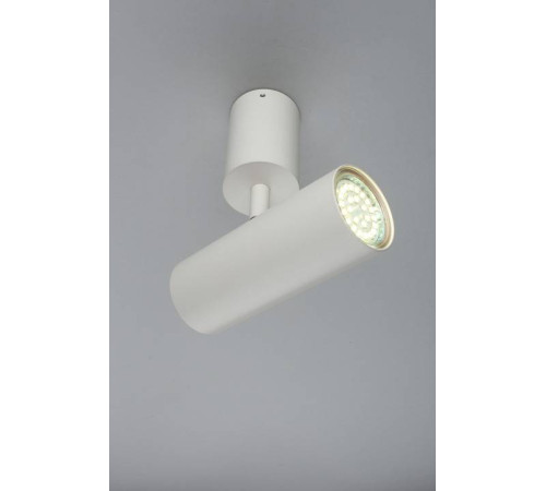 Спот Aployt Berenis APL.007.02.01